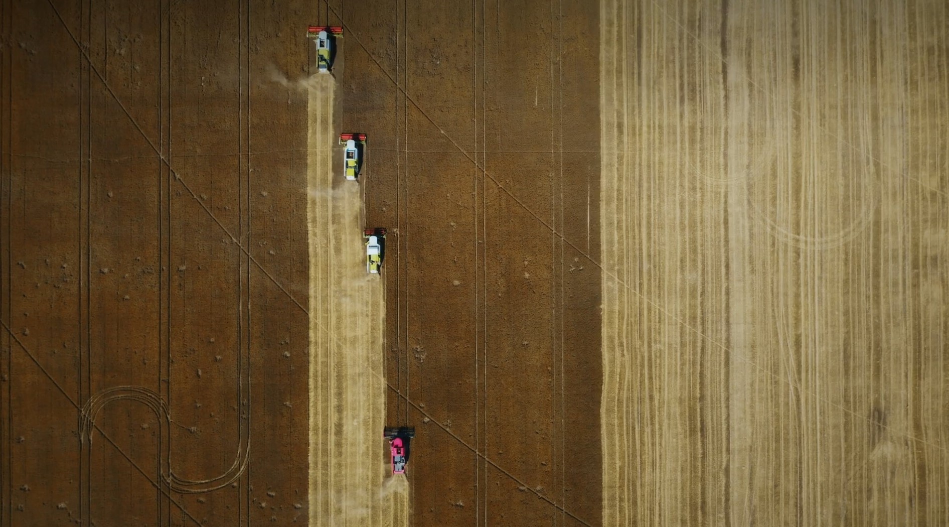 Uljarice Bačka — Rad na njivi